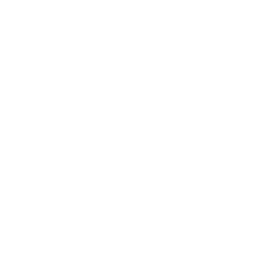 Icono de personalización