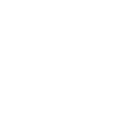 Icono de protección